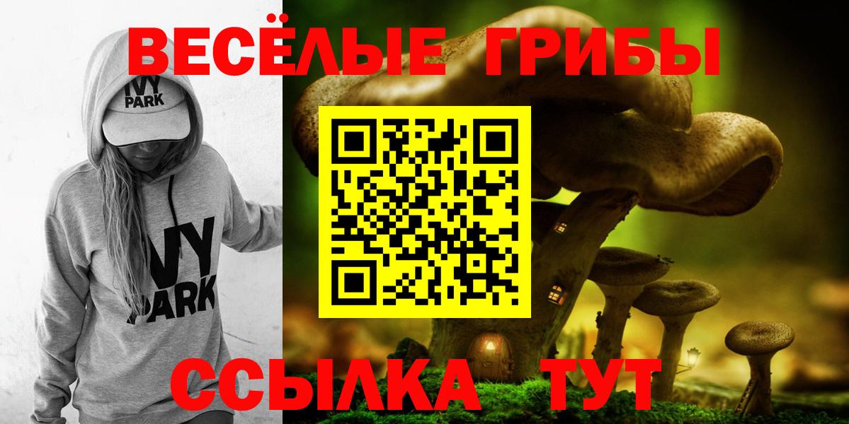 Похвистнево  что такое   Вход с VPN  Галлюциногенные грибы Cubensis 